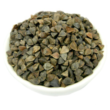 ALIBABA USED EXCLUSIVELYSweet Buckwheat (GF1)